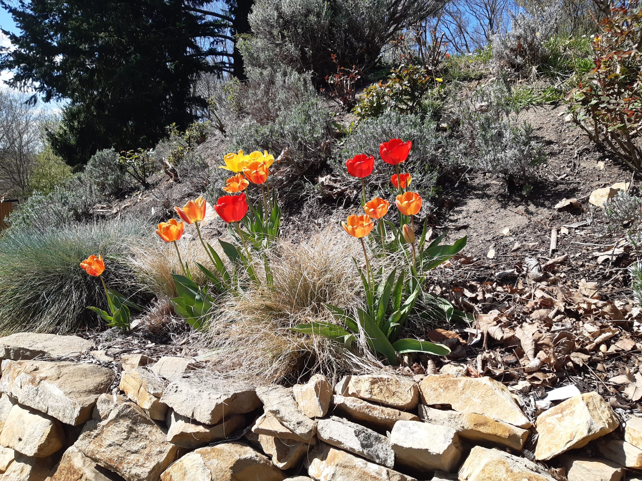Garten 10 – Trockensteinmauern